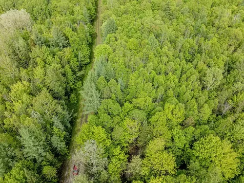 Lot 9 Off Us Route 3 Columbia NH 03576