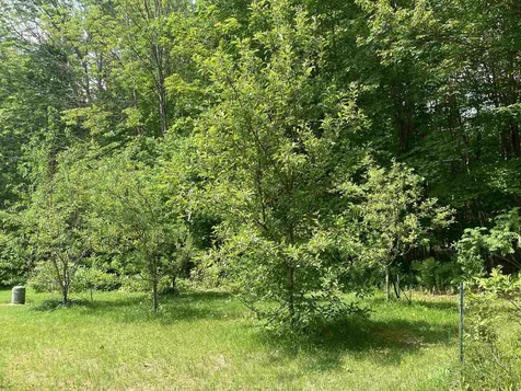 3 Mountain Road Sanbornton NH 03269