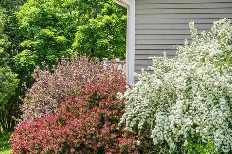 47 Point Ridge Road Berlin VT 05641