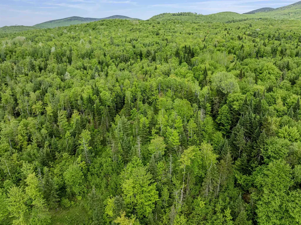 Lot 7 Off Us Route 3 Columbia NH 03576