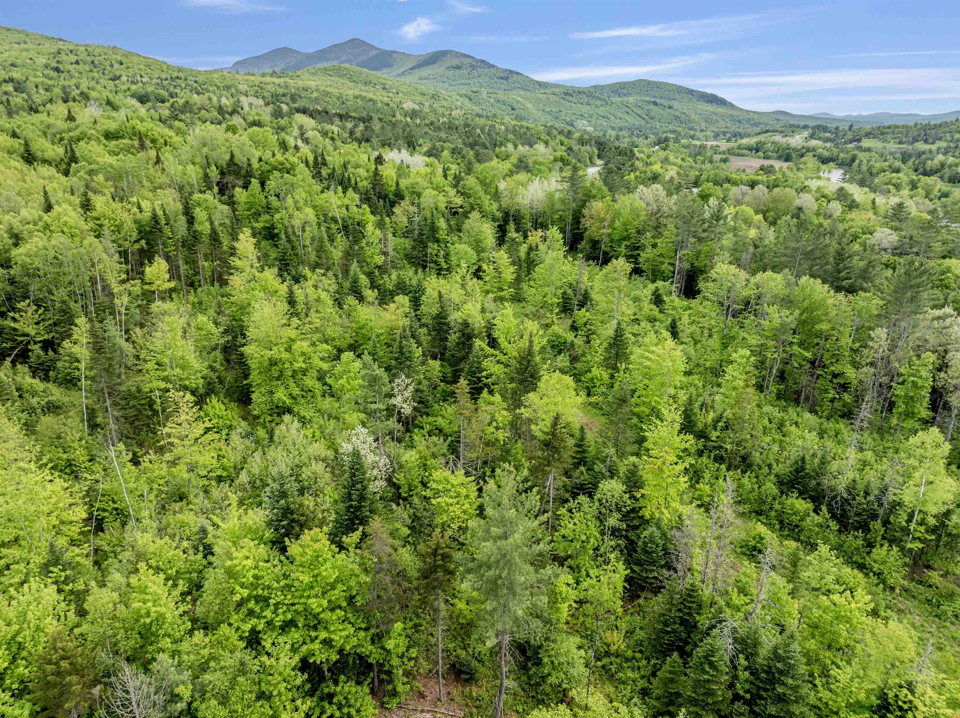 Lot 5 Colburn Drive Columbia NH 03576