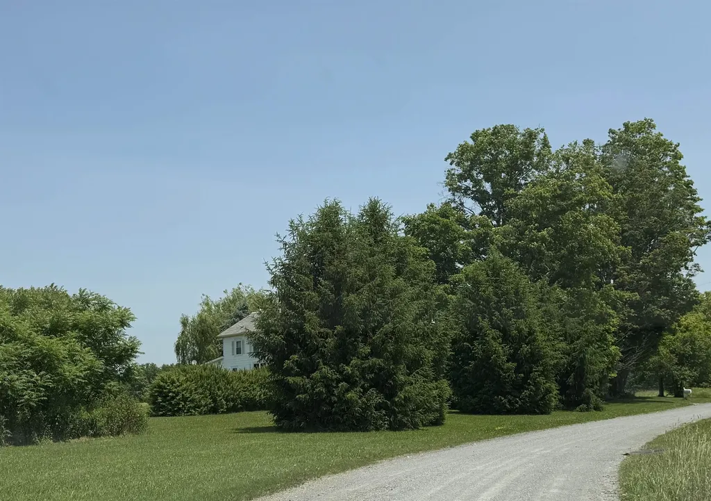 6614 Main Road West Haven VT 05743