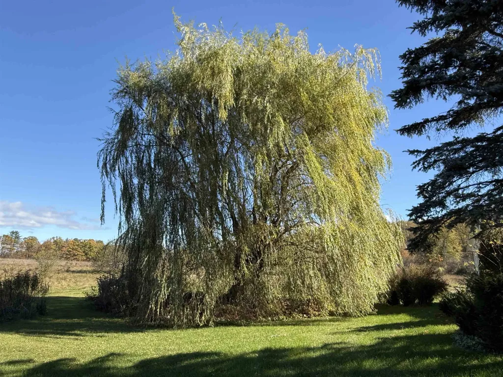 6614 Main Road West Haven VT 05743