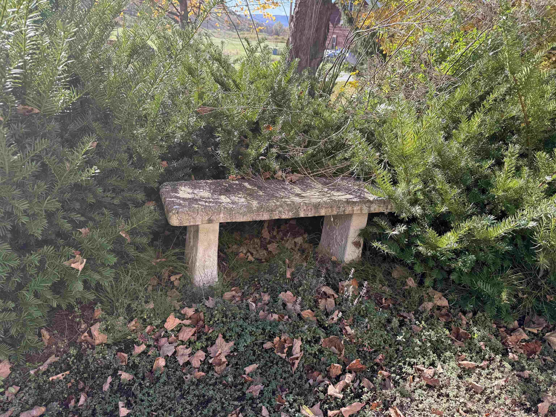 6614 Main Road West Haven VT 05743