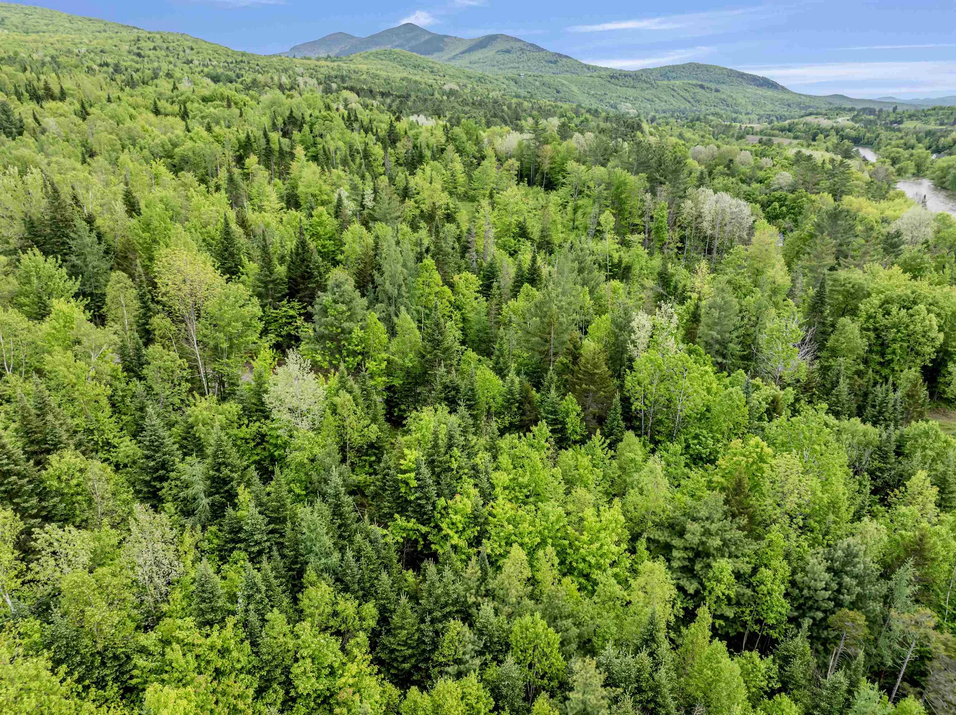 Lot 2 Off Us Route 3 Columbia NH 03576