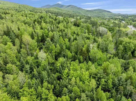 Lot 2 Off Us Route 3 Columbia NH 03576