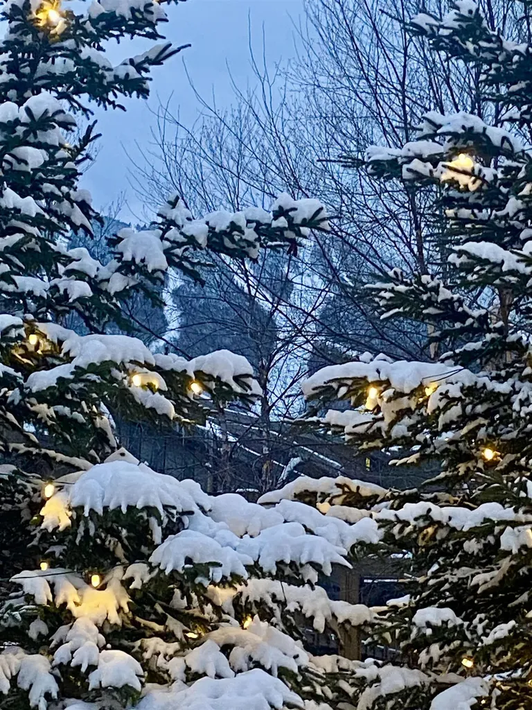 69 Hourglass Drive Stowe VT 05672