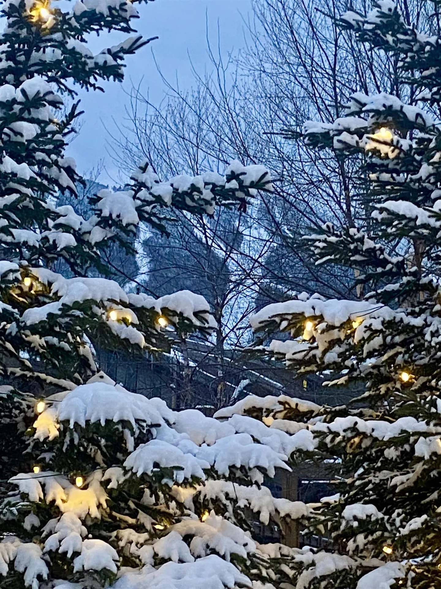 69 Hourglass Drive Stowe VT 05672