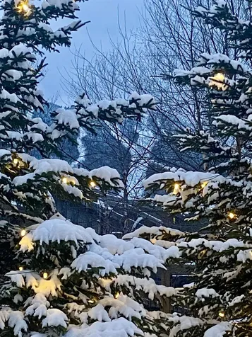 69 Hourglass Drive Stowe VT 05672