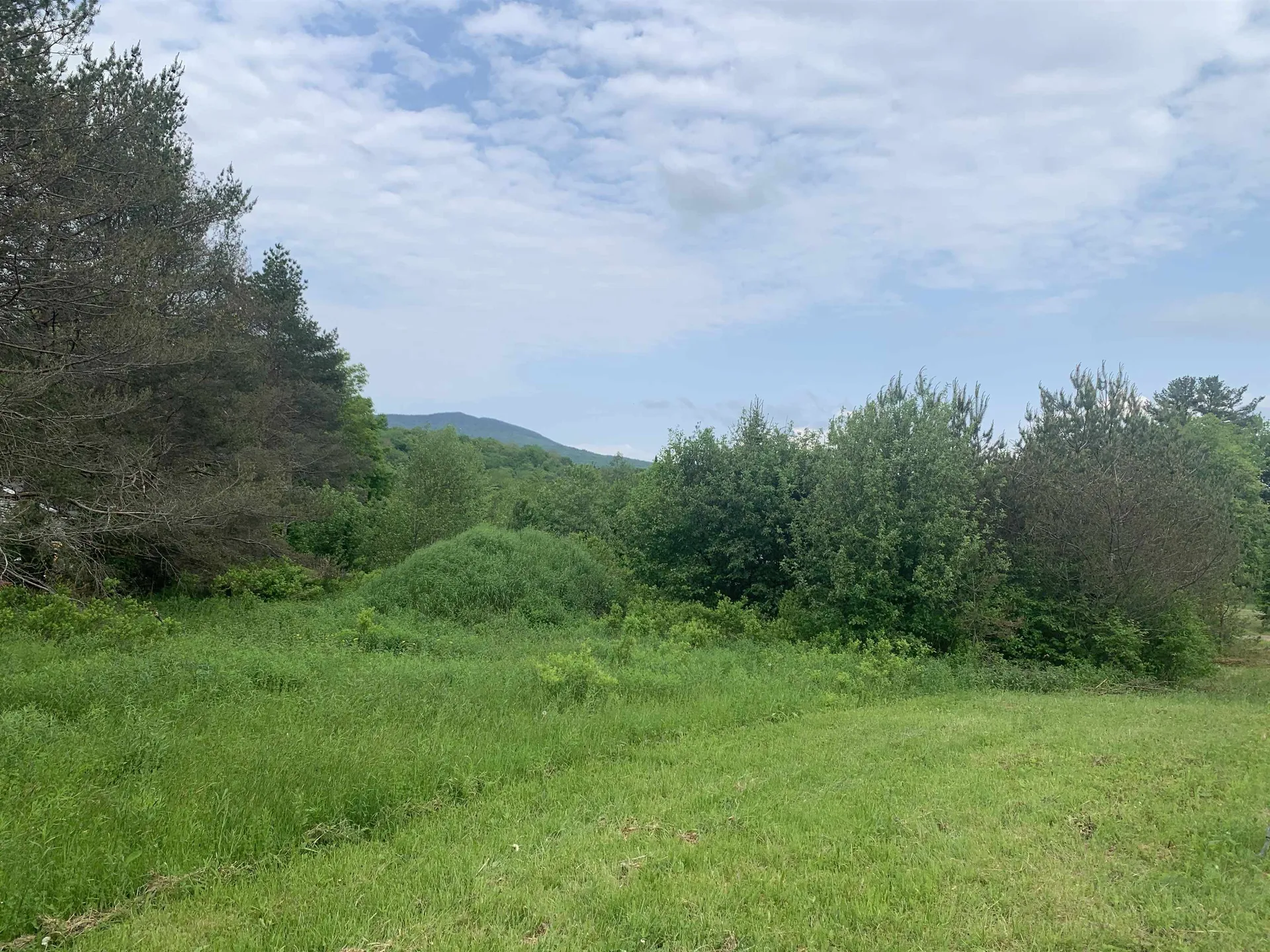 Vt Route 118 Belvidere VT 05442