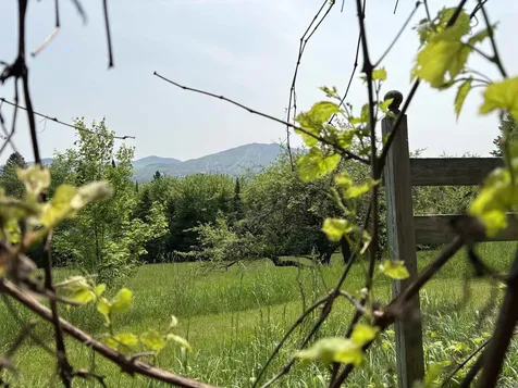 5198 Darling Hill Road Burke VT 05832