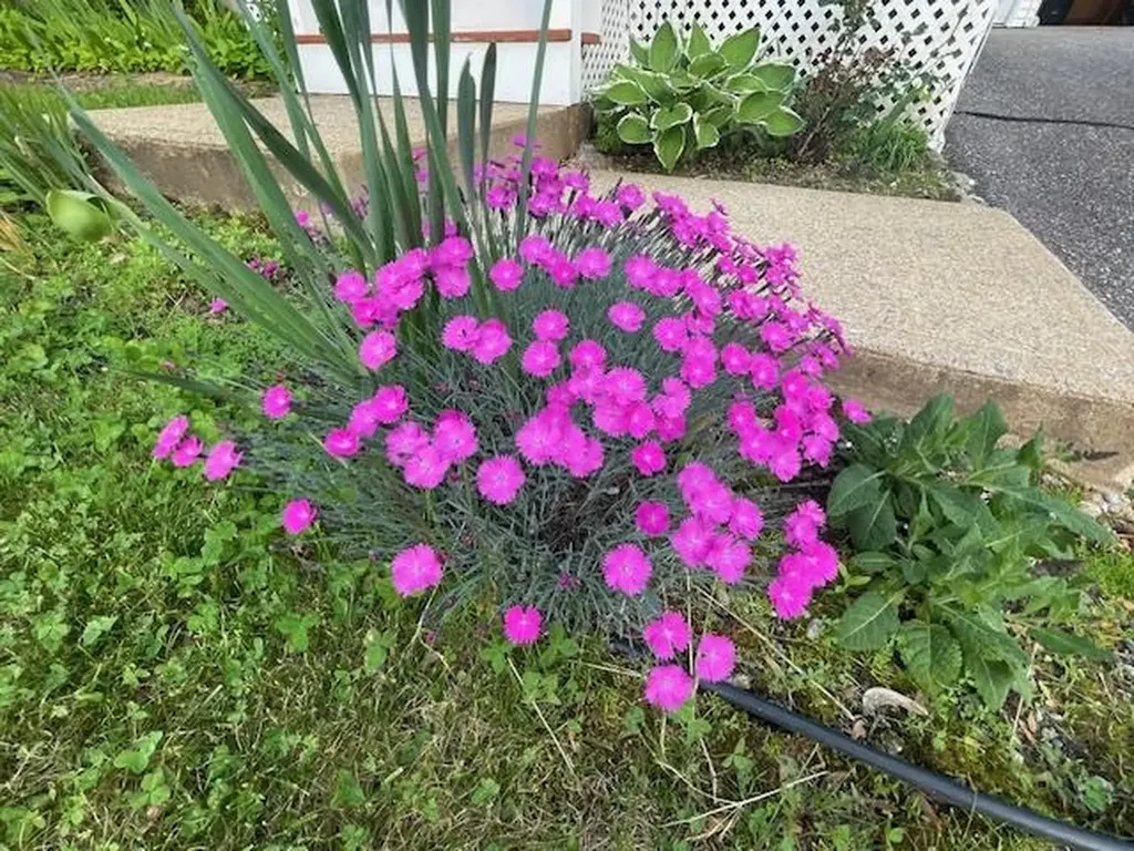 21 Mountain View Drive Franklin NH 03235