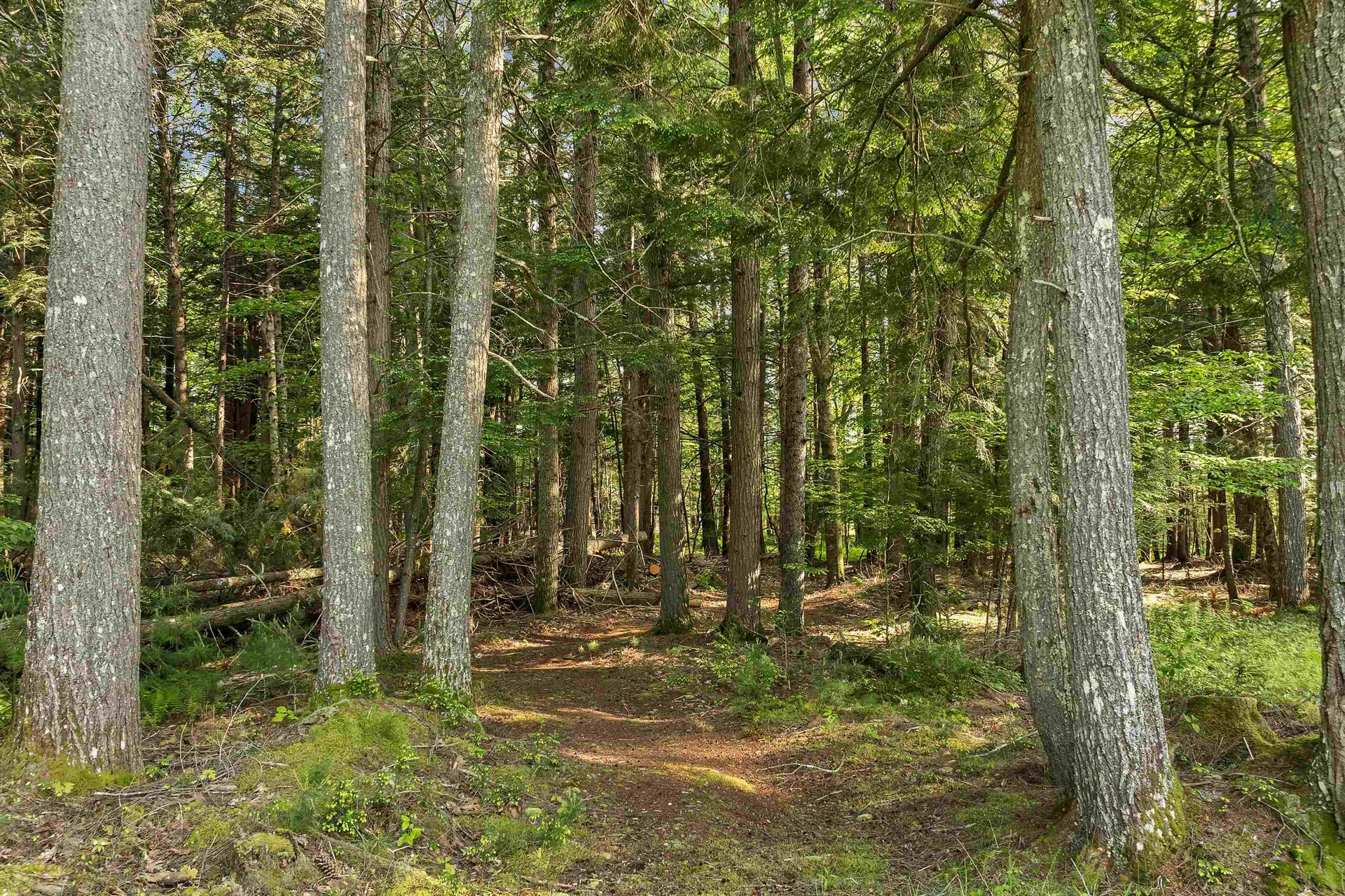 31 Pine Mill Drive Tuftonboro NH 03816