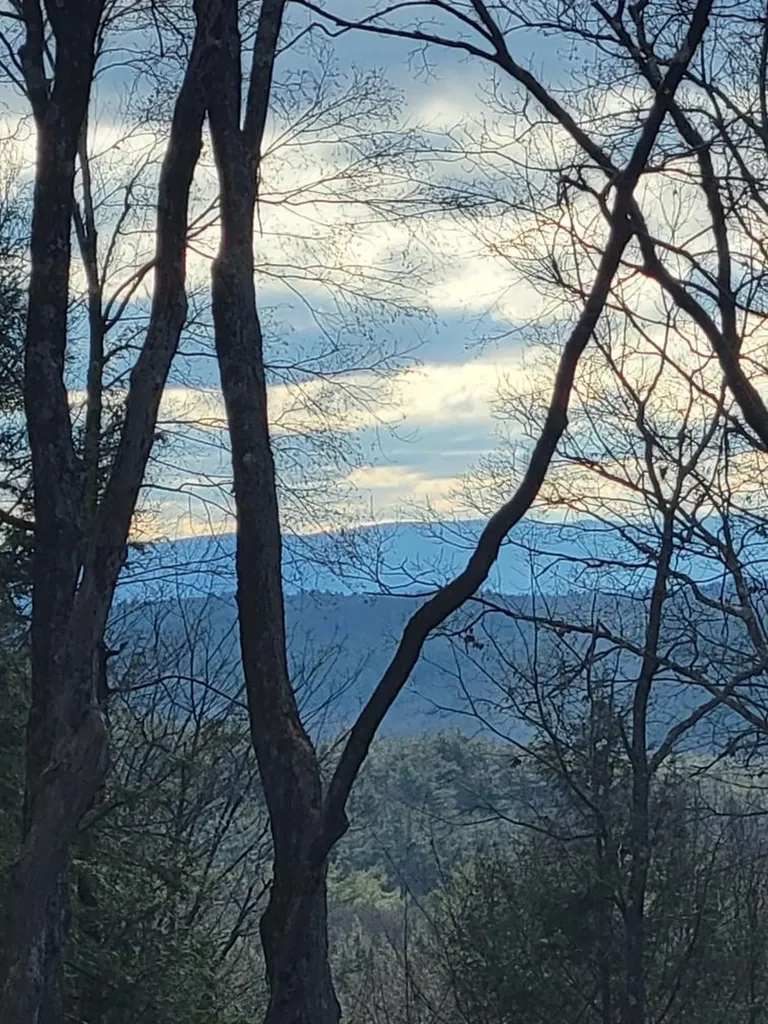 266 Ursa Ridge Road Brattleboro VT 05301