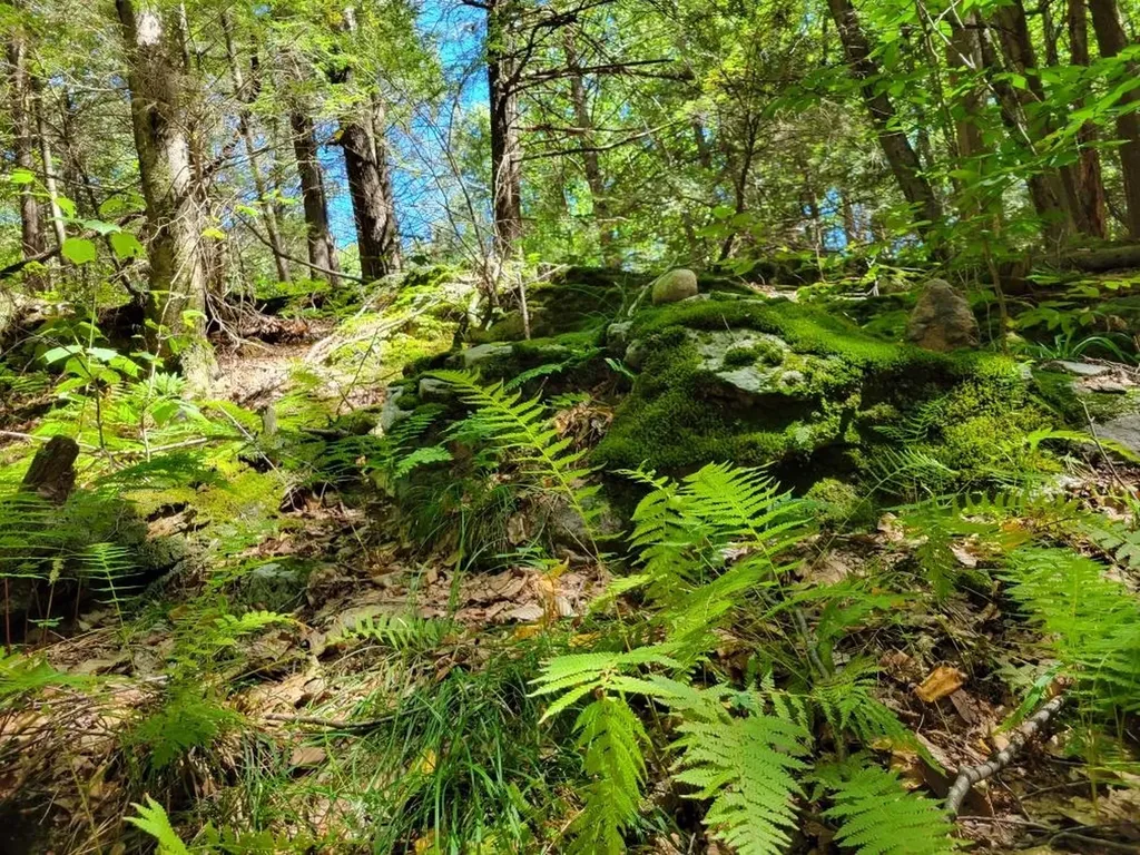 266 Ursa Ridge Road Brattleboro VT 05301