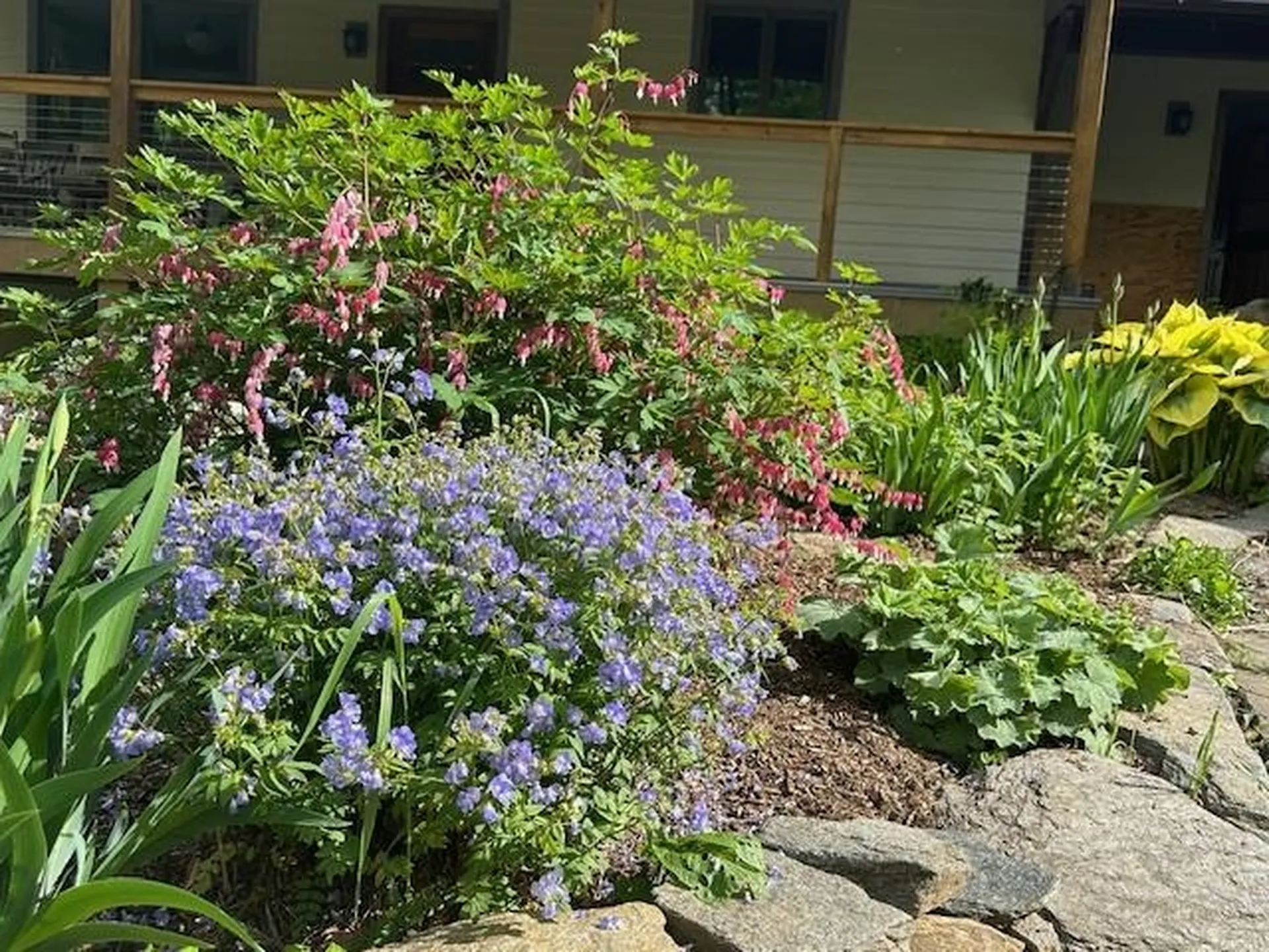 266 Ursa Ridge Road Brattleboro VT 05301