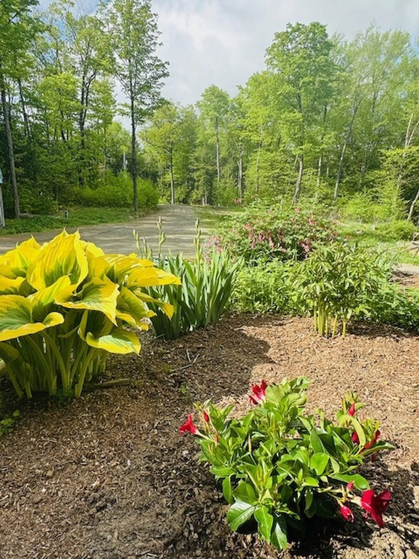 266 Ursa Ridge Road Brattleboro VT 05301