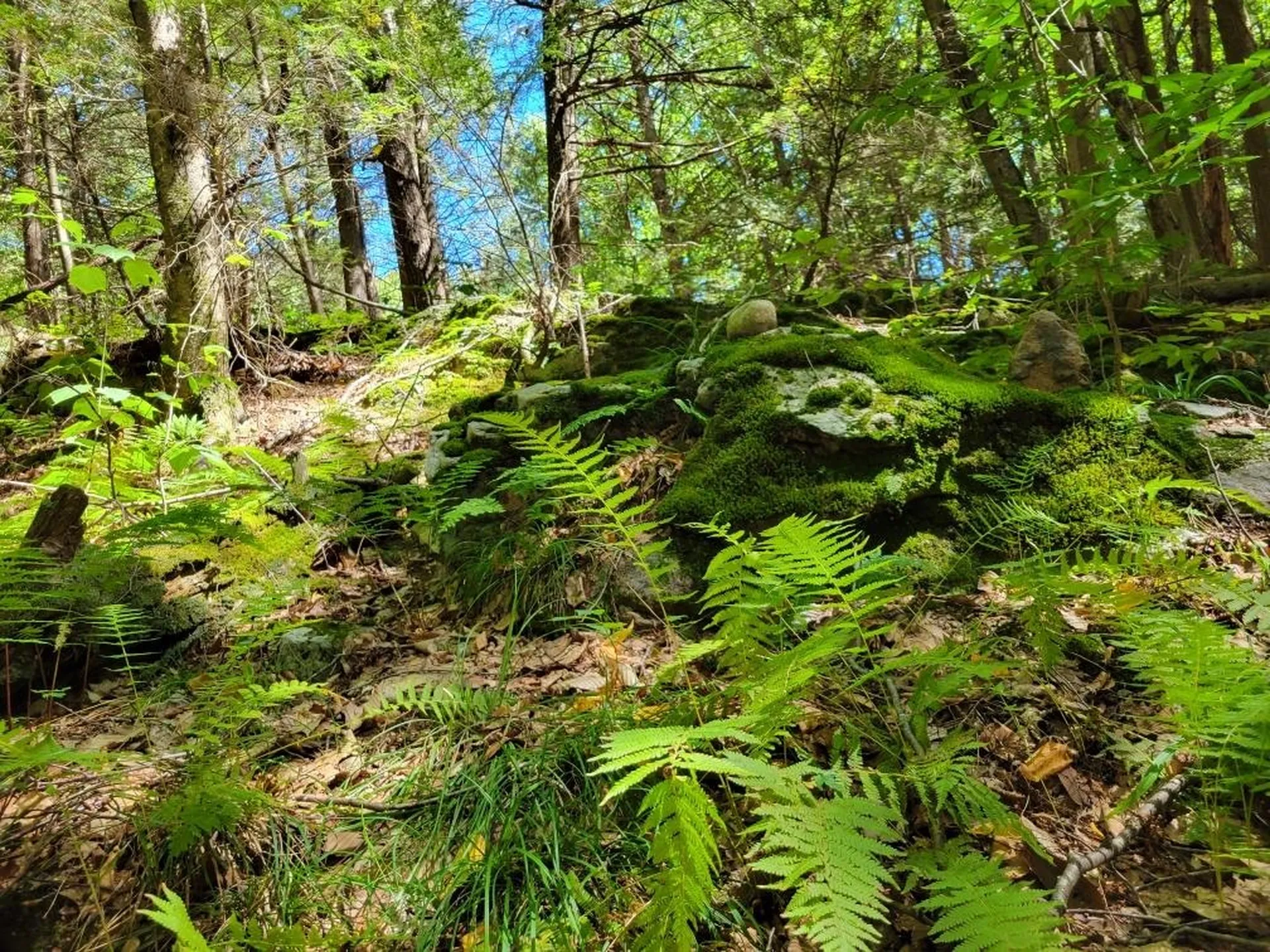 266 Ursa Ridge Road Brattleboro VT 05301