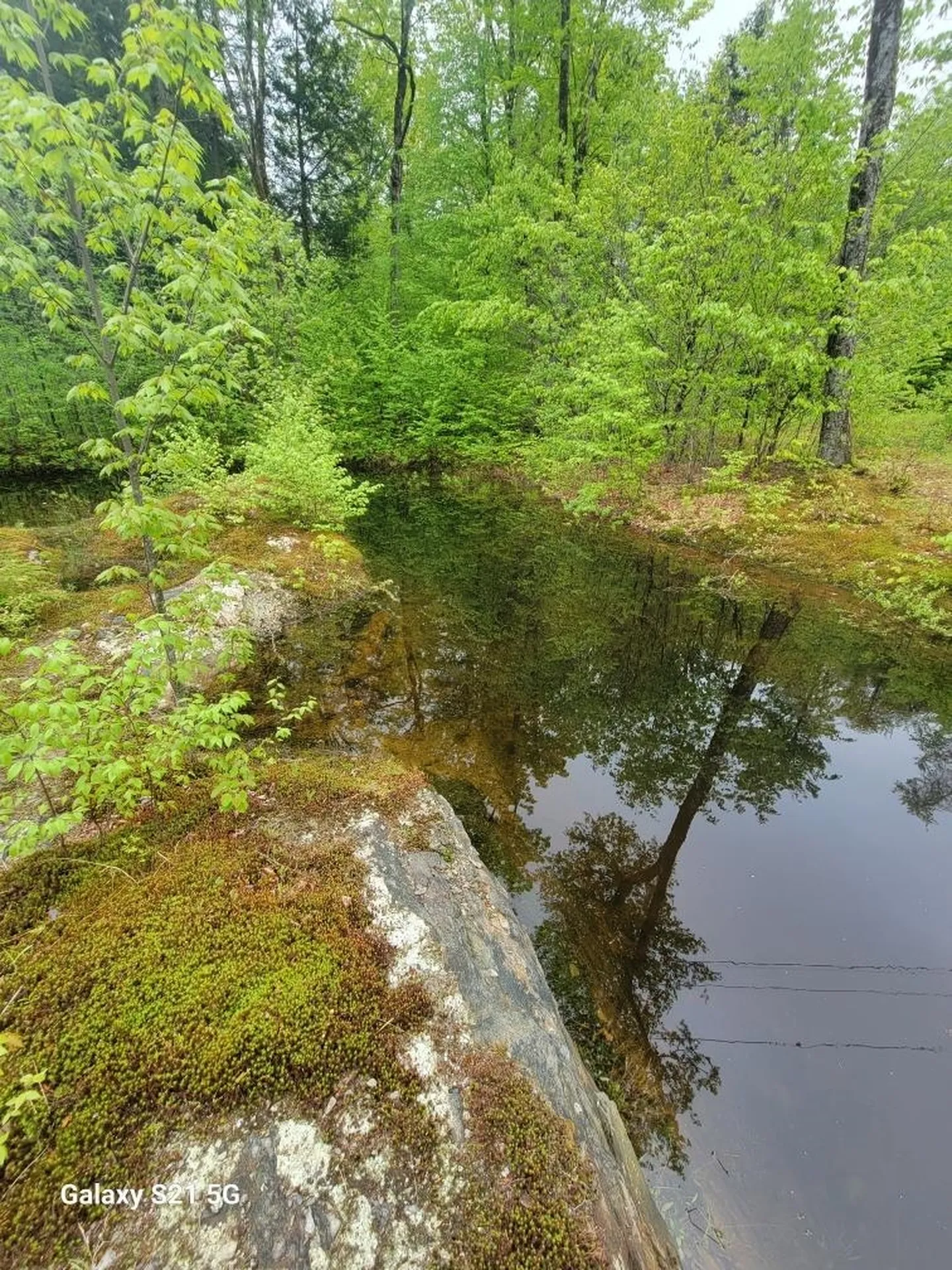 266 Ursa Ridge Road Brattleboro VT 05301