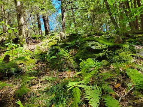 266 Ursa Ridge Road Brattleboro VT 05301