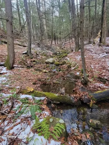 266 Ursa Ridge Road Brattleboro VT 05301