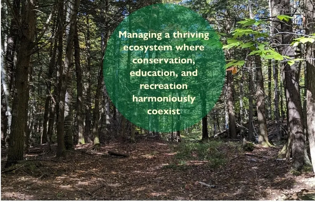 3358 Cochran Road Richmond VT 05477