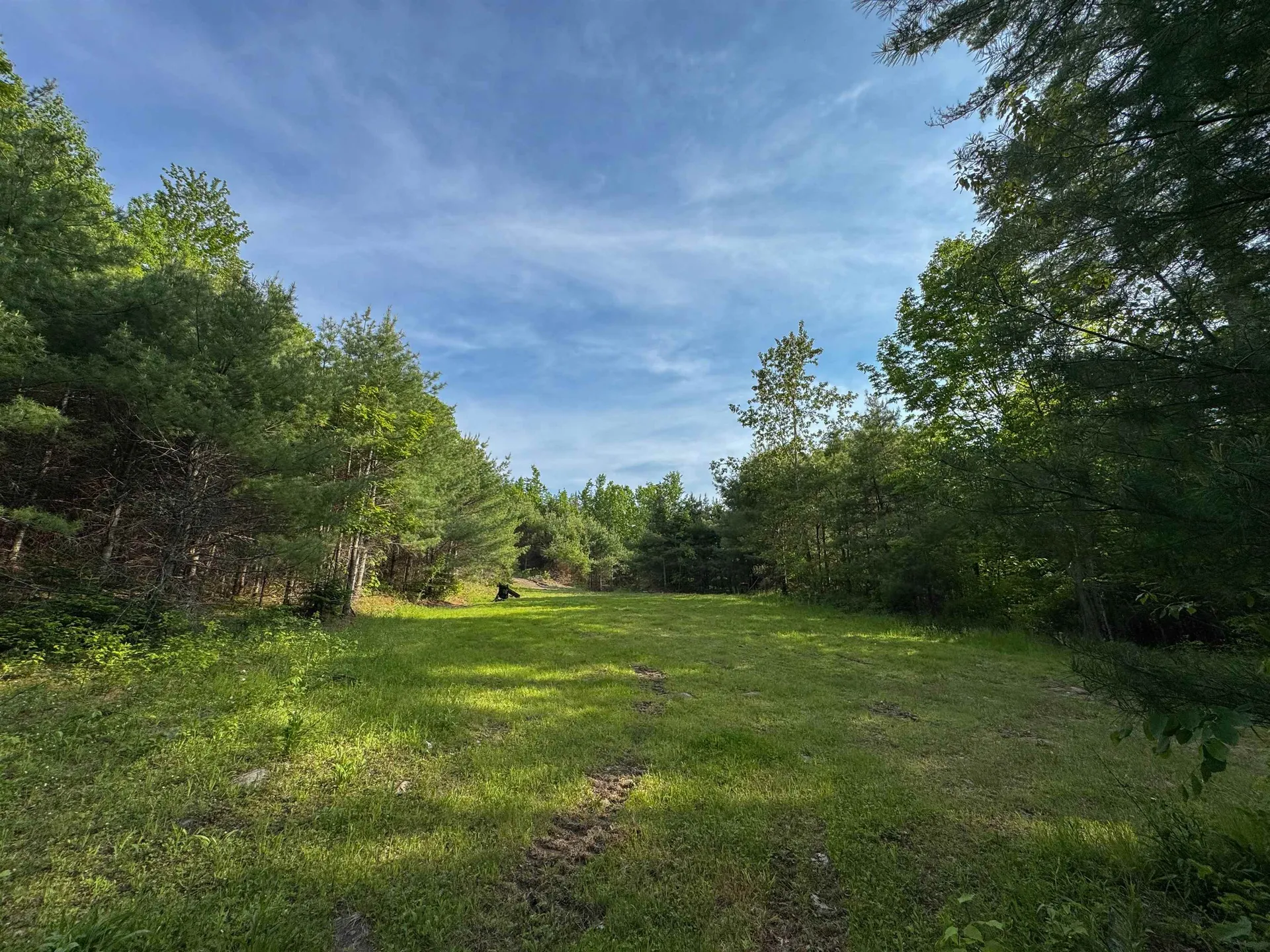 1879 Witherspoon Road Ryegate VT 05069