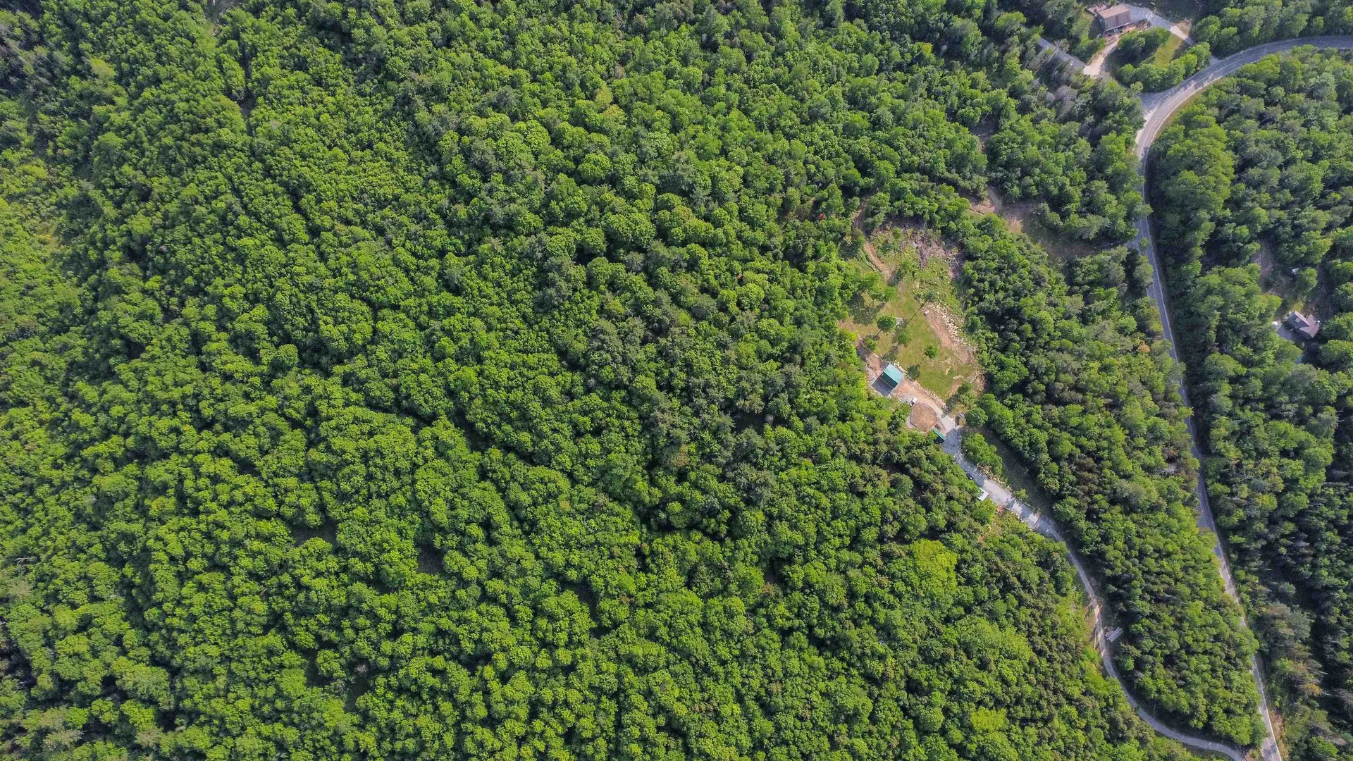 1879 Witherspoon Road Ryegate VT 05069