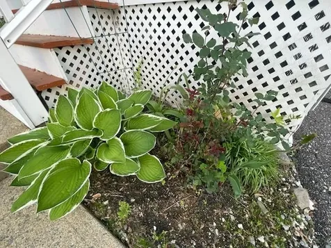 21 Mountain View Drive Franklin NH 03235