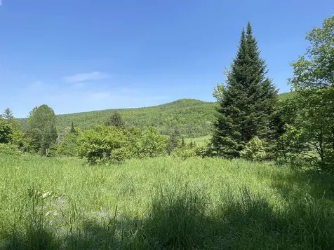 1277 Cabot Road Marshfield VT 05658