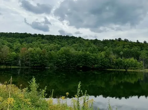 Lot 5 Shore Drive Springfield NH 03284
