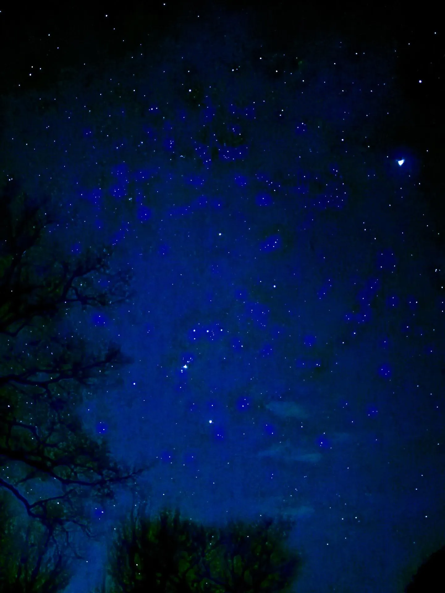 19 Wendy Drive Alton NH 03810