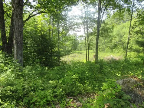 5 Contoocook Falls Road Hillsborough NH 03244