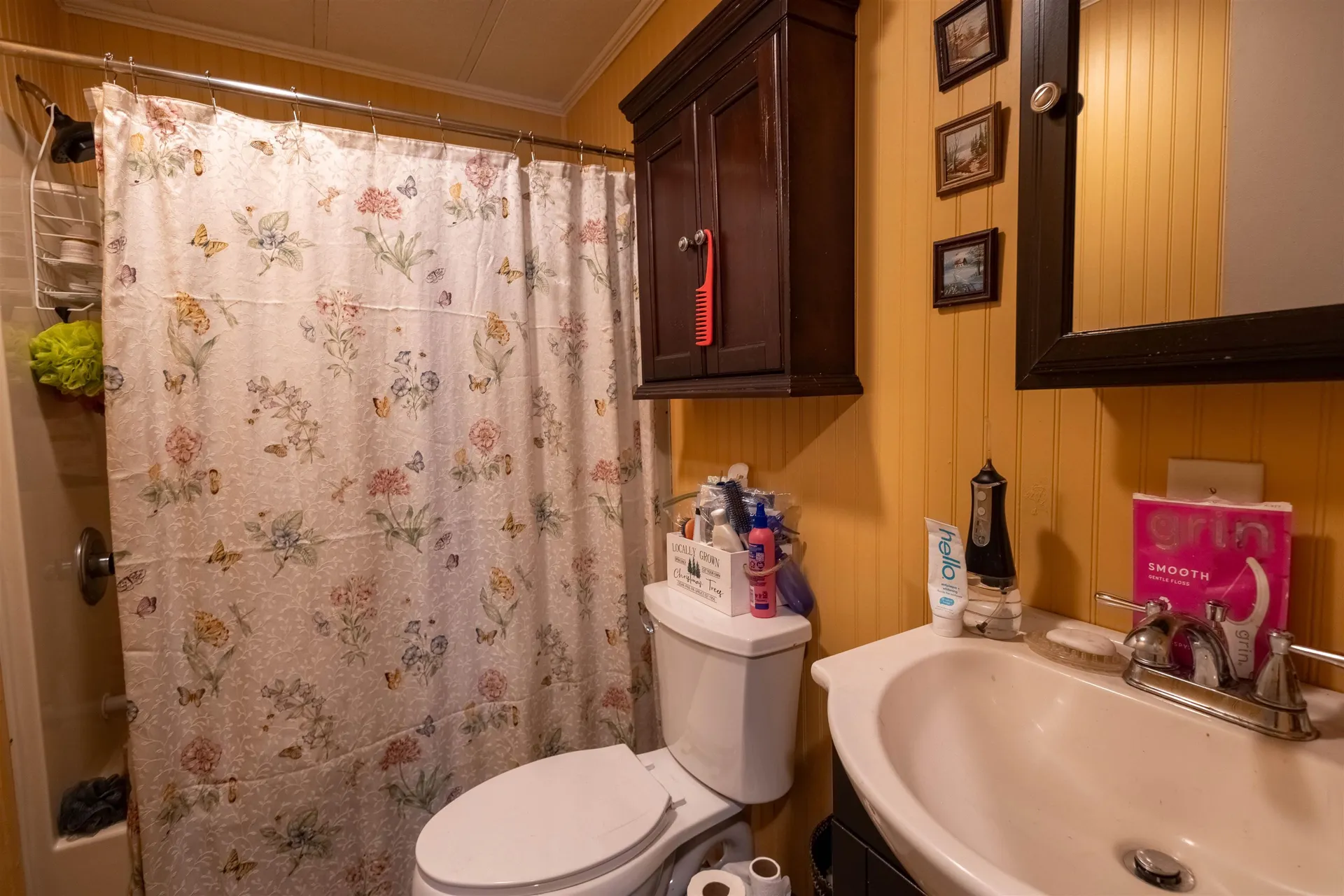 11 Puritan Lane Ossipee NH 03814-6846