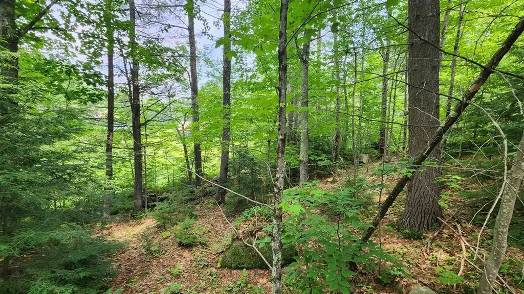 176 Valley Road New Durham NH 03855