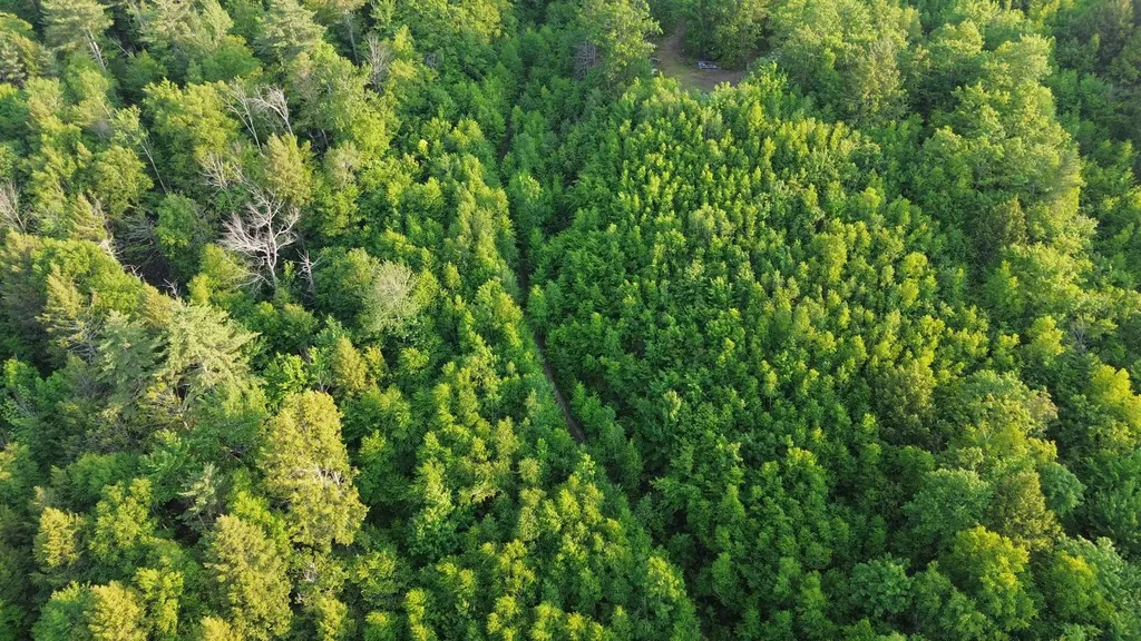 176 Valley Road New Durham NH 03855