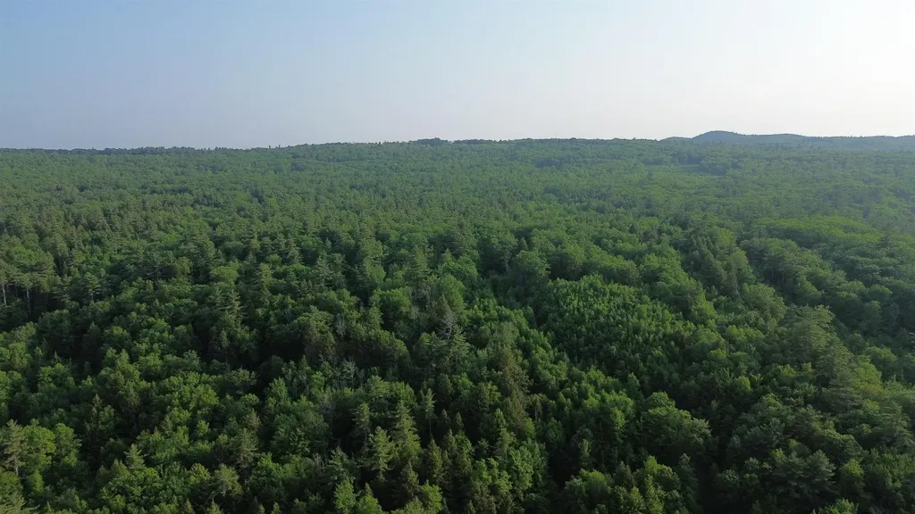 175 Valley Road New Durham NH 03855