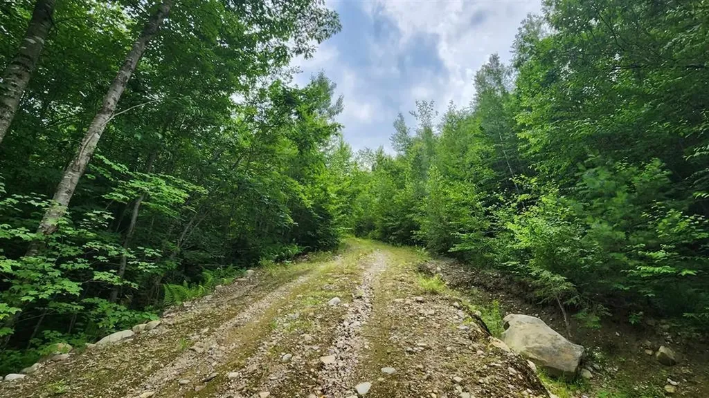 176 Valley Road New Durham NH 03855