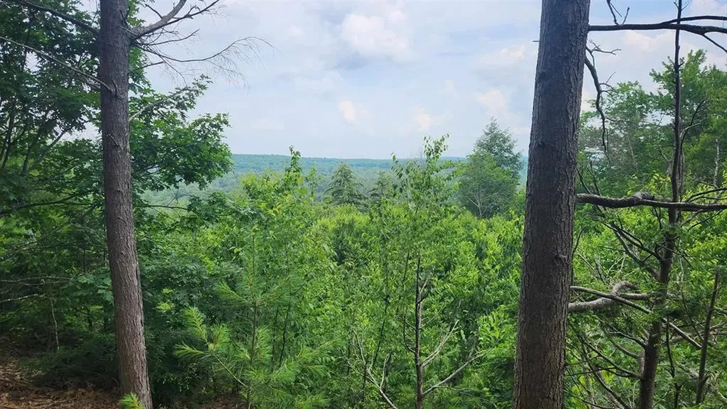 176 Valley Road New Durham NH 03855