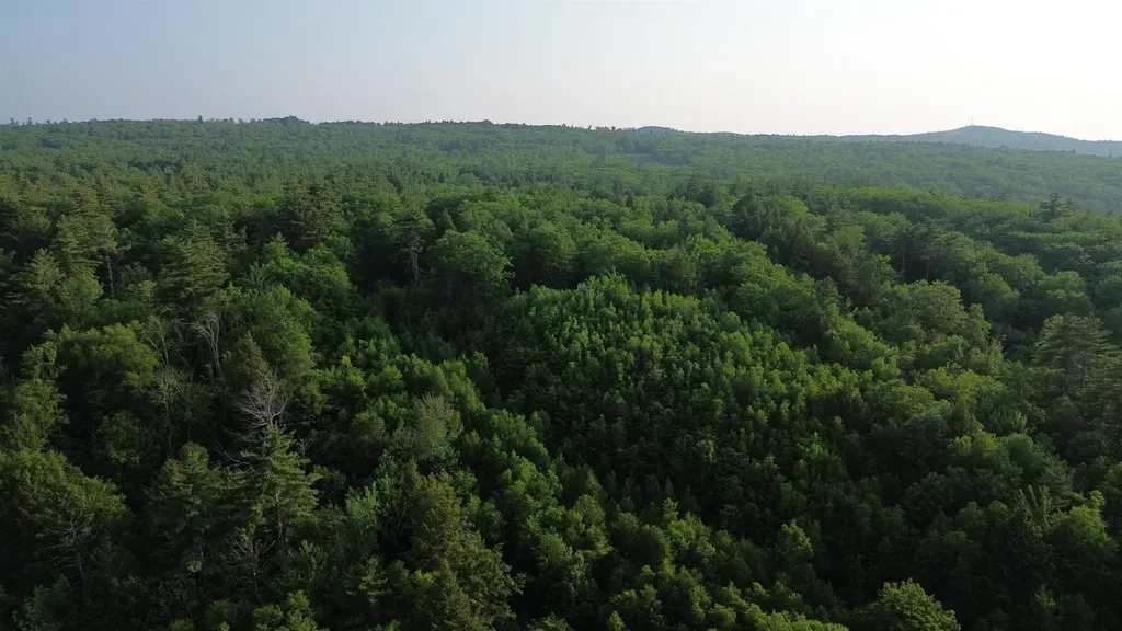 176 Valley Road New Durham NH 03855