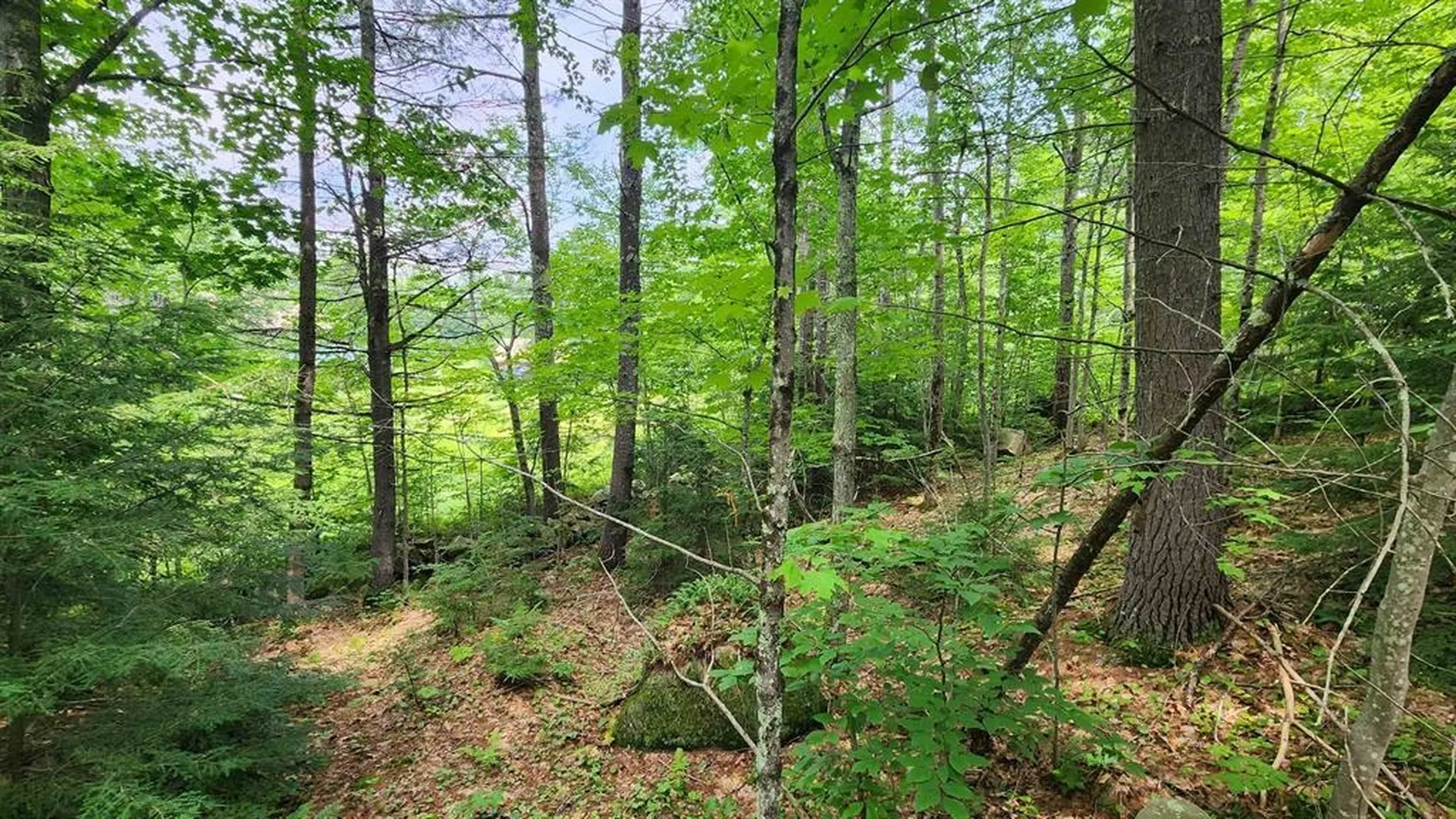 176 Valley Road New Durham NH 03855