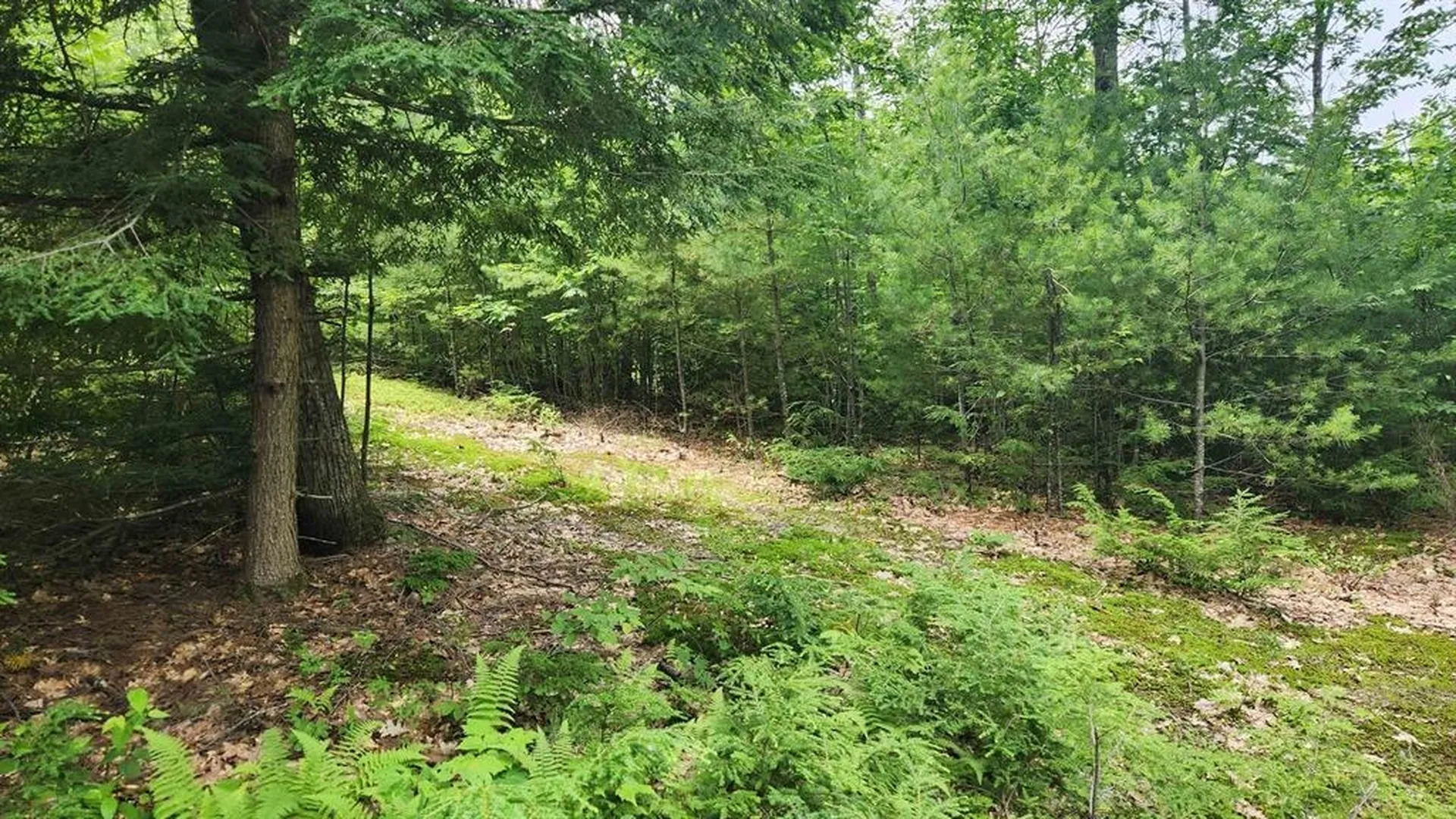 175 Valley Road New Durham NH 03855