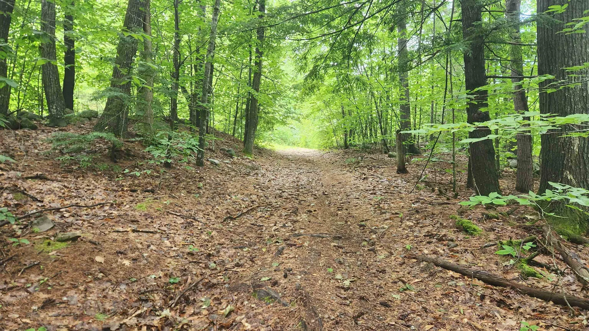 175 Valley Road New Durham NH 03855