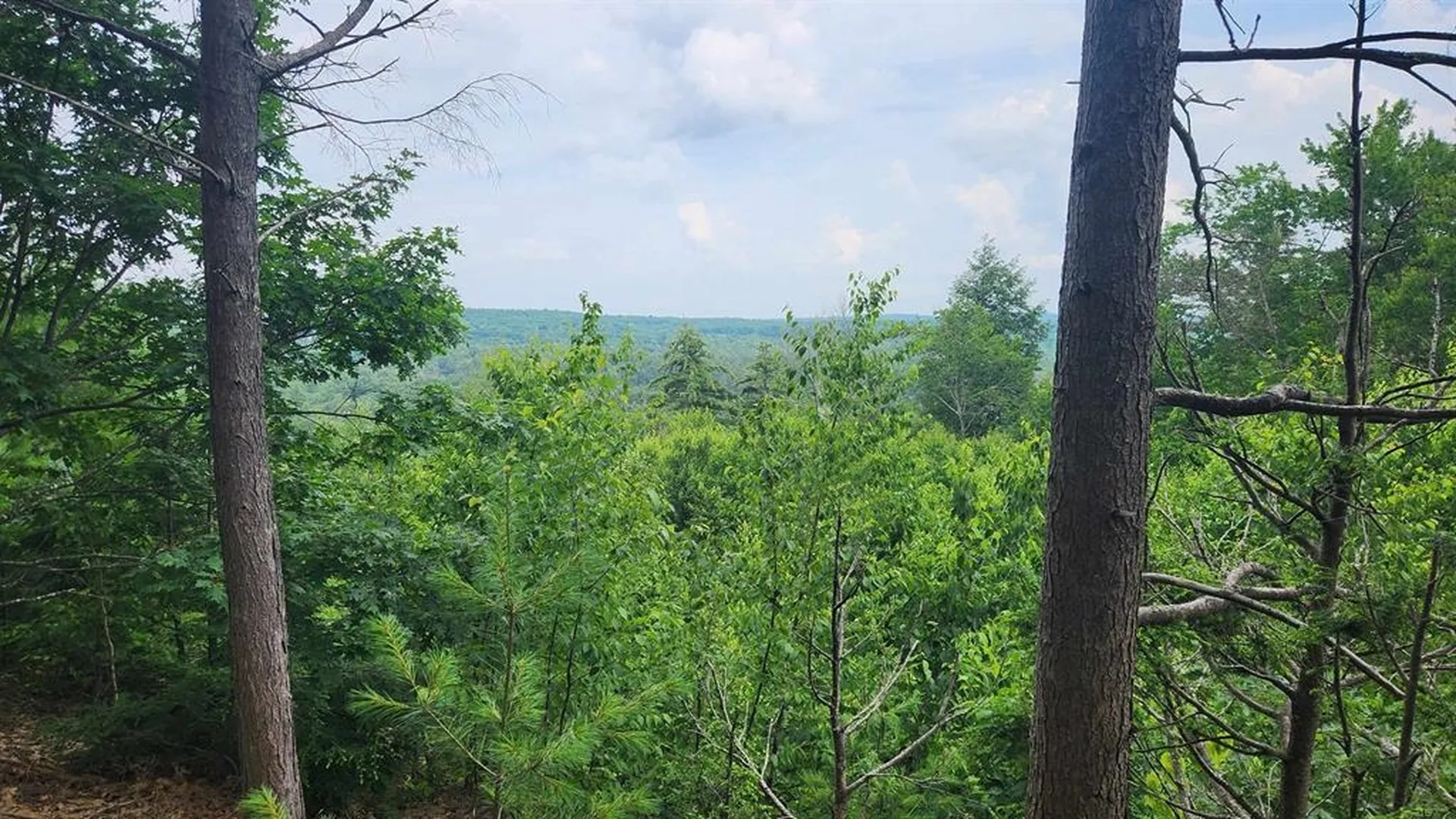 176 Valley Road New Durham NH 03855