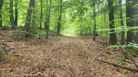 175 Valley Road New Durham NH 03855