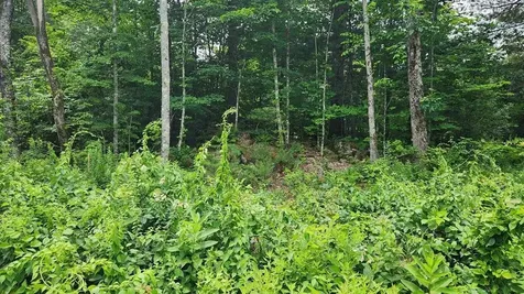 176 Valley Road New Durham NH 03855