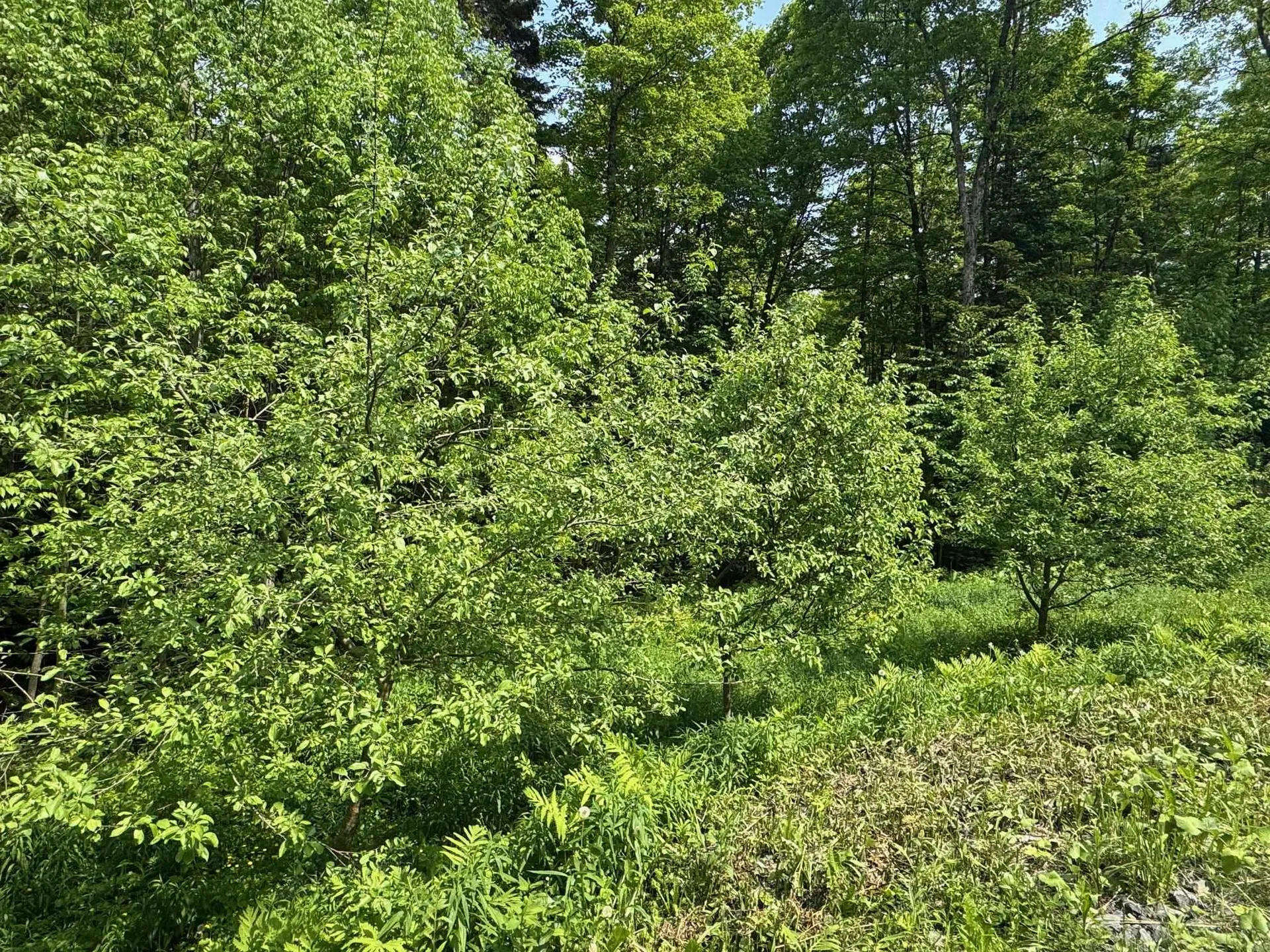 400 Woods Road Northfield VT 05663