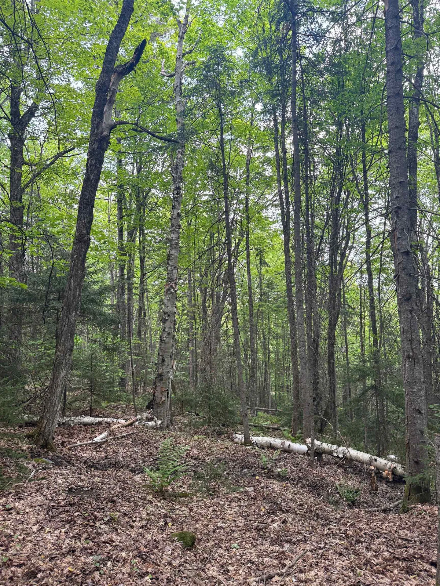 400 Woods Road Northfield VT 05663