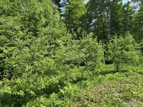 400 Woods Road Northfield VT 05663