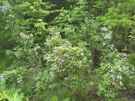 400 Woods Road Northfield VT 05663